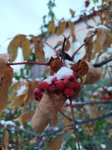 ​Плюсовая погода продержится в Сургуте до конца выходных